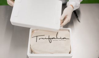 comprar-trufa-fresca_37