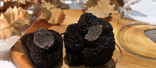 ¿Qué factores influyen en el precio de la trufa negra?